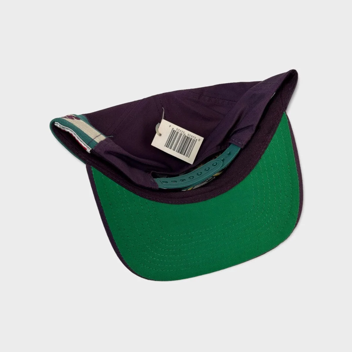 Anaheim Mighty Ducks Vintage NHL Snapback hat - Image 3